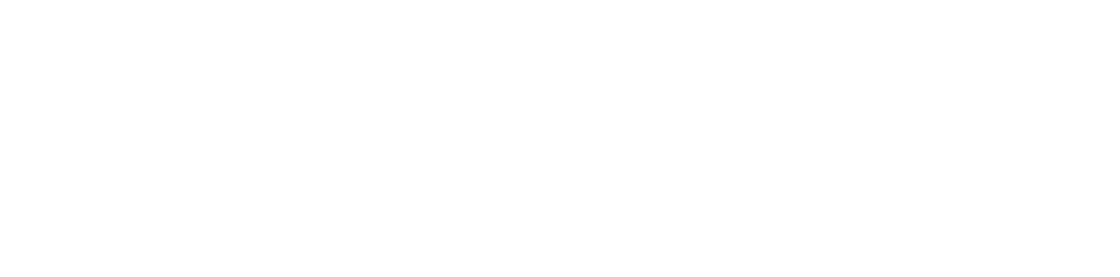 Systemsvets